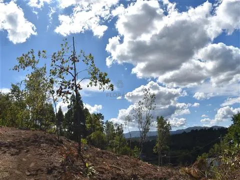 Terreno per Costruzione