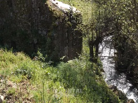 Propriedade Riba d´Âncora