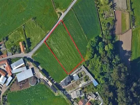 Terreno - 4.900 m² (Zona Habitacional) | São Mamede do Coronado, Trofa