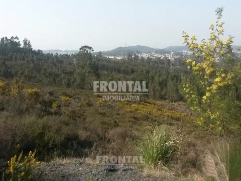 Terreno Industrial - 9.999 m² | Zona Industrial de Campo, Valongo