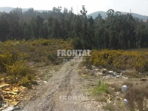 Terreno Industrial - 9.999 m² | Zona Industrial de Campo, Valongo