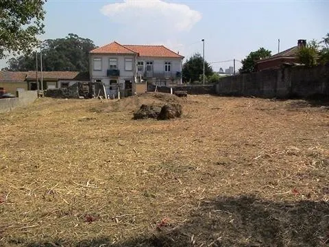 Real Estate building