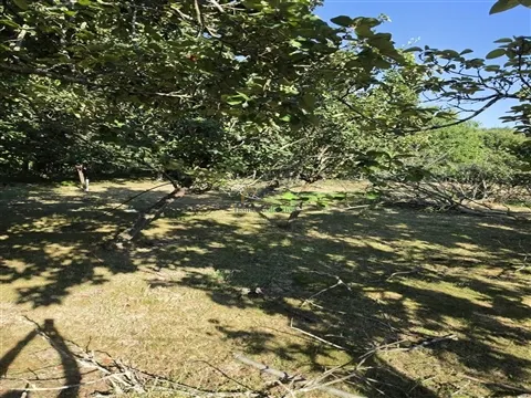 Terreno 4.700 m² à Venda em Leça do Balio | Matosinhos