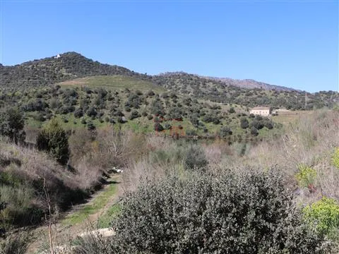 Fattoria / Cascina / Casale