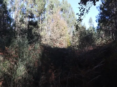 Piece of Real Estate