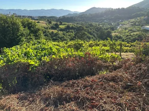 img_10