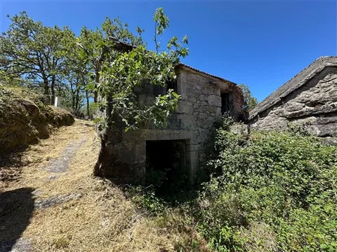Oportunidade Única Investimento Turismo Rural, Moradia com Projeto| Varziela,