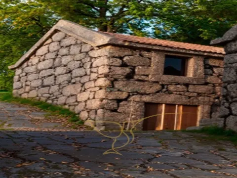 Oportunidade Única Investimento Turismo Rural, Moradia com Projeto| Varziela,