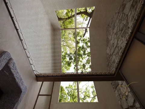 Oportunidade Única Investimento Turismo Rural, Moradia com Projeto| Varziela,