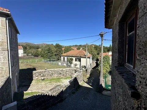 img_29
