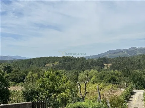 img_46