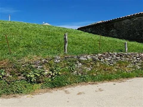 img_5