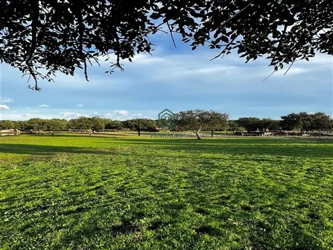 Quinta