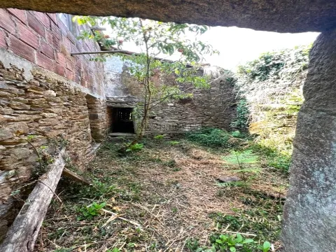 Terrain