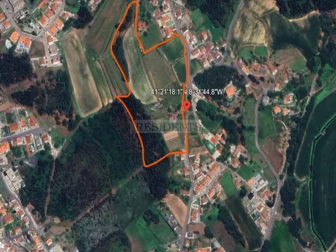 Terre à Famalicão, Porto