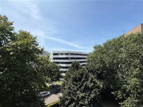 img_19