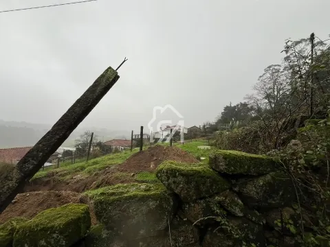 独立屋恢复 2个房间
