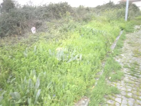 Lotissement de terrain