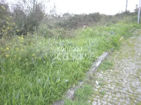 Lotissement de terrain