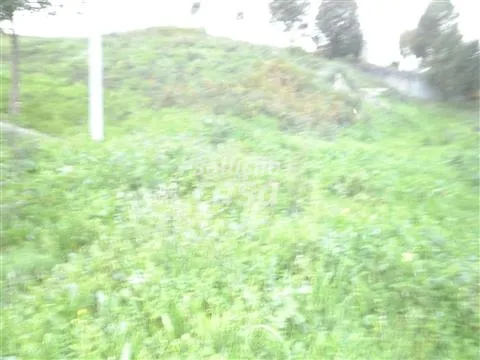 Lotissement de terrain