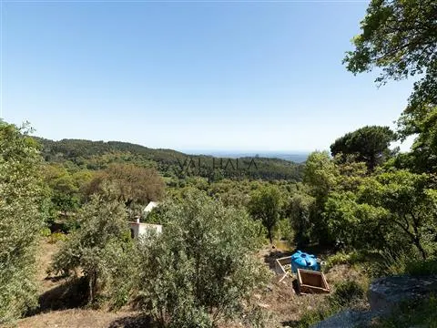 finca 2 habitaciones