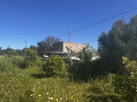 Land