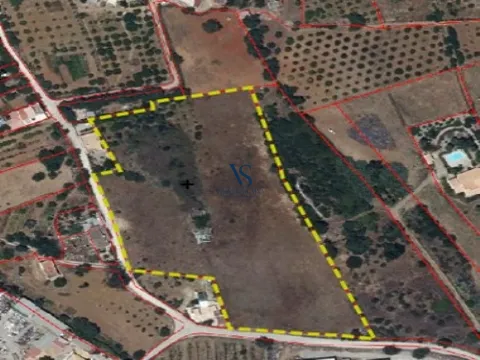 Land