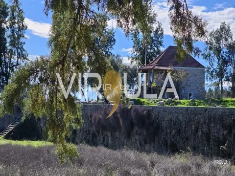 Herdade T6 Fonte da Prata, 20 hectares  - Pedrogão S.Pedro - Penamacor - Virgula Imobiliária
