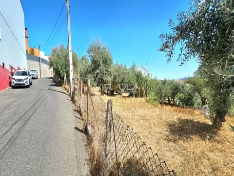 Terreno Plano com 300m² – Dominguiso, Covilhã 