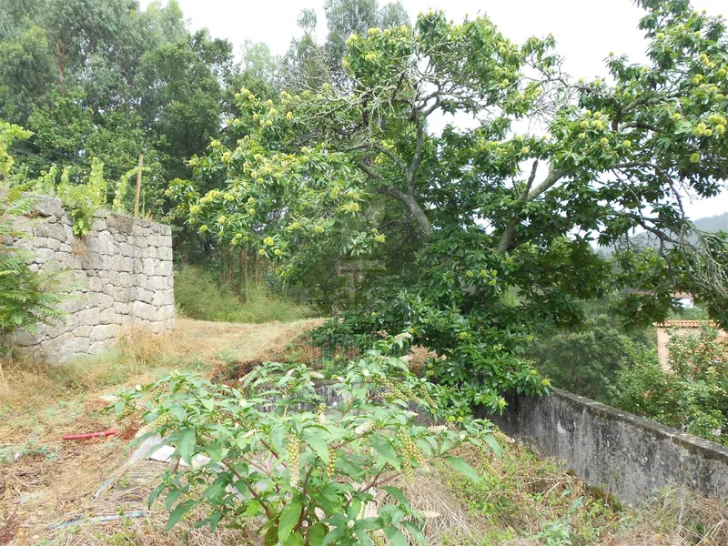 Real Estate building