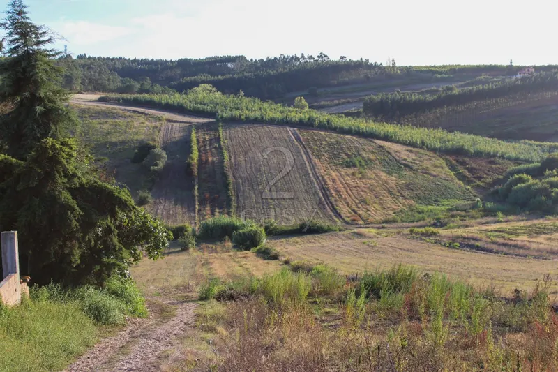Terreno Para Construção