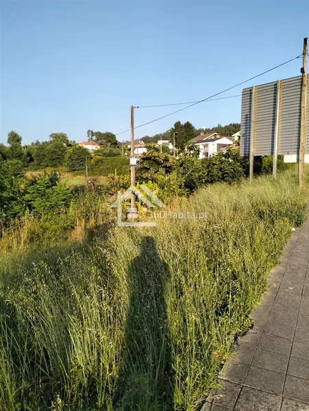 Land - Meinedo Lousada