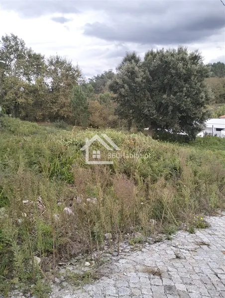 Land in Romariz, Meinedo Lousada