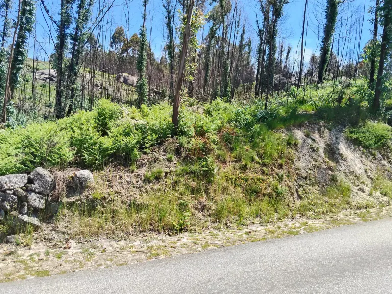 Rustic land with 15,064.30 m² in Seidões, Fafe
