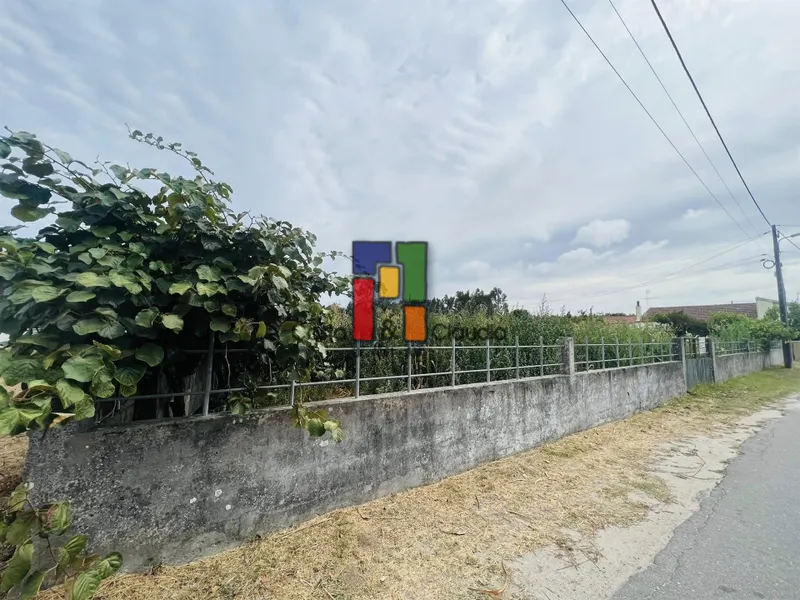 Real Estate building