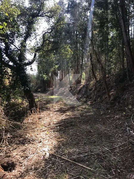 T7 housing in Coimbra to restore