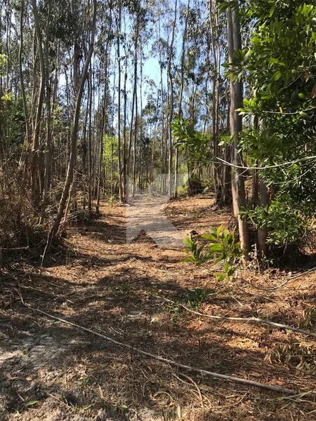 T7 housing in Coimbra to restore