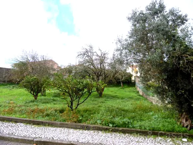 Terreno para la construcción