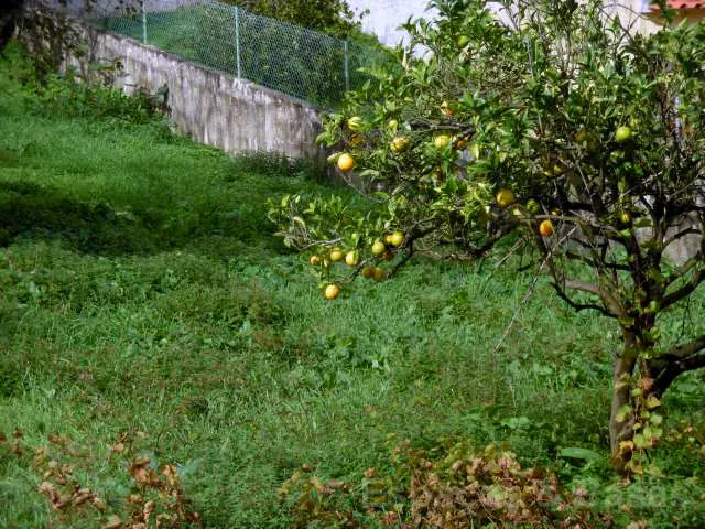 Terreno para la construcción
