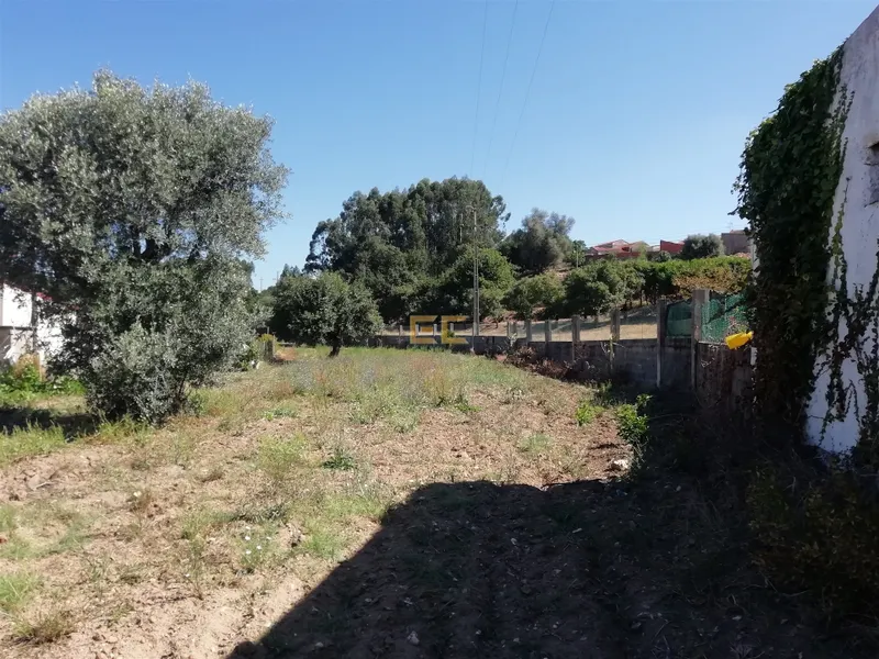 Terreno per Costruzione