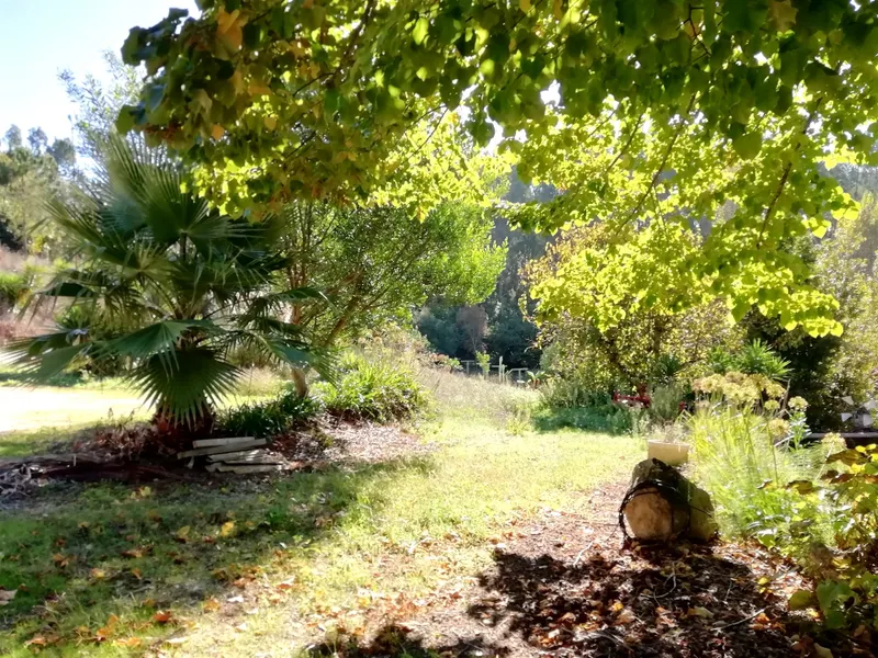 Boerderij 5 kamerwoning