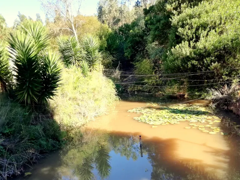 Boerderij 5 kamerwoning