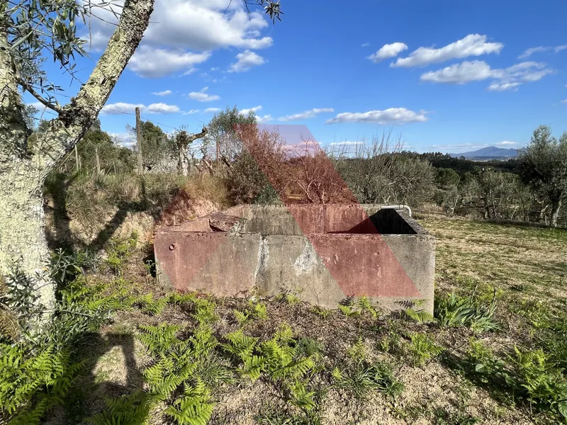 Terrain rural Studio