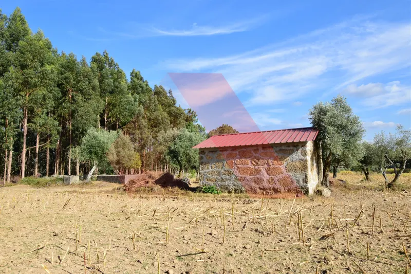 Terrain rural