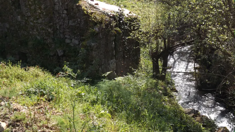 Propriedade Riba d´Âncora