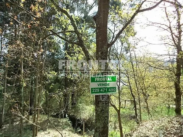 Terrenos em Penafiel