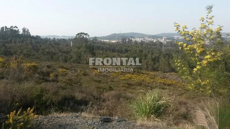 Terreno Industrial - 9.999 m² | Zona Industrial de Campo, Valongo