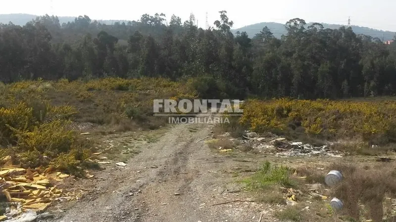 Terreno Industrial - 9.999 m² | Zona Industrial de Campo, Valongo