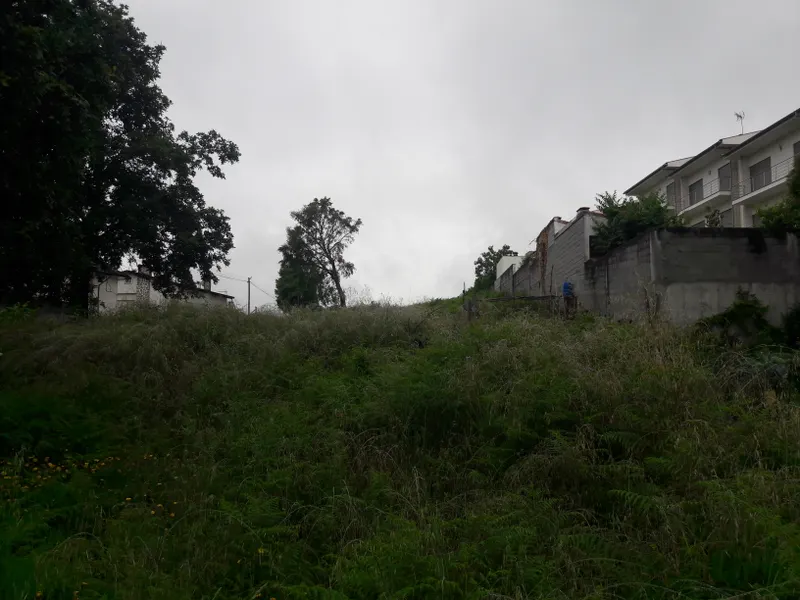 propriedade horizontal, braga, ferreiros, lotes, individuais, geminados,