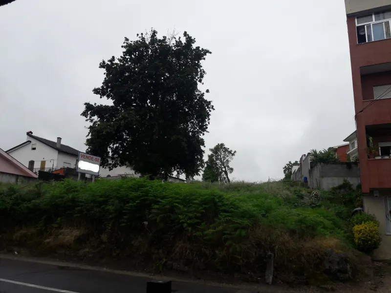 propriedade horizontal, braga, ferreiros, lotes, individuais, geminados,